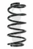 SPIDAN 49490 Coil Spring